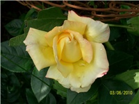 fa42b785-Picture 596.jpg